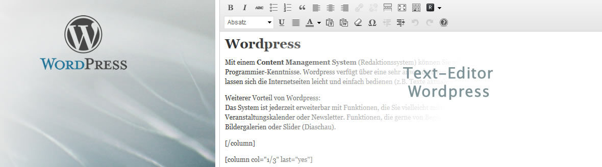 Moderne Webentwicklung mit WordPress